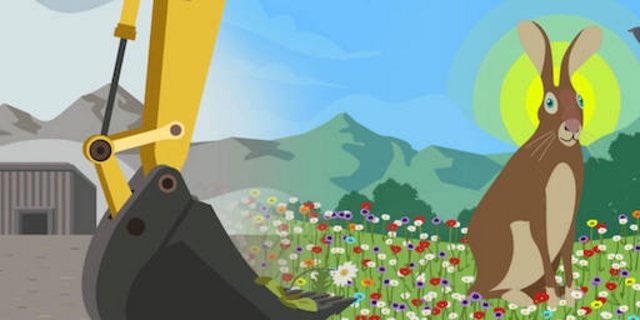 Für den Erhalt der Biodiversität und gegen die Verbauung von Flächen ausserhalb der Bauzone, für diese Anliegen steht die Doppelinitiative Biodiversität und Landschaft. (Bild Pro Natura)