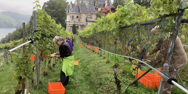 Bilder Josef Scherer