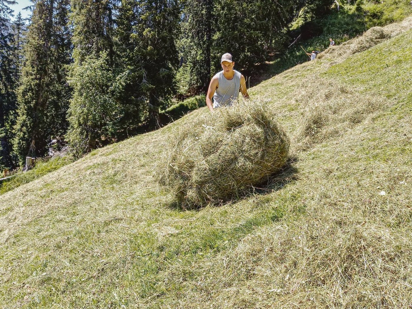 Tim Zaugg macht sein drittes Lehrjahr auf dem Betrieb von Felix und Esther Zaugg in Schwendibach BE. (Bild zVg)
