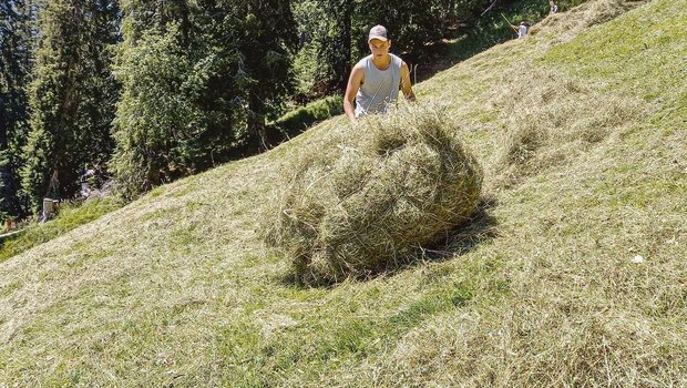 Tim Zaugg macht sein drittes Lehrjahr auf dem Betrieb von Felix und Esther Zaugg in Schwendibach BE. (Bild zVg)