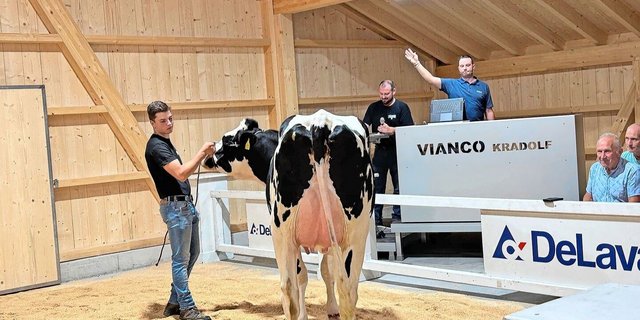 «Wer bietet mehr?» Auktionator Michael Rüegsegger (r., hinten) war an der Eröffnungsauktion am vergangenen Dienstag in seinem Element und heizte den Verkauf vor Ort und online an.