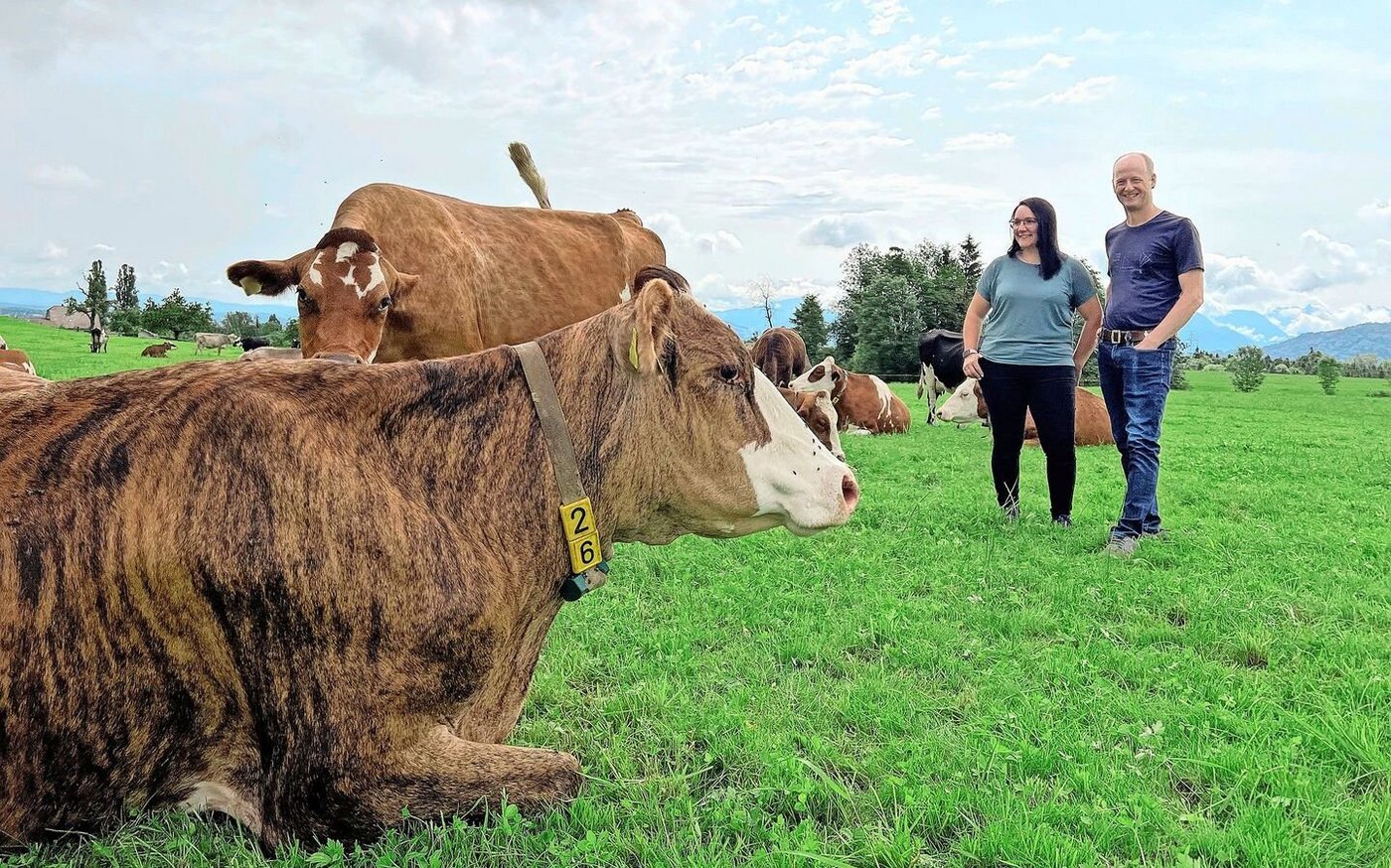 Bunte Herde mit Zweinutzungstypen: Daniela und Walti Haas auf der Weide in Hellbühl. Seit 2017 sind sie bio, zusätzlich wird heute antibiotikafrei produziert.