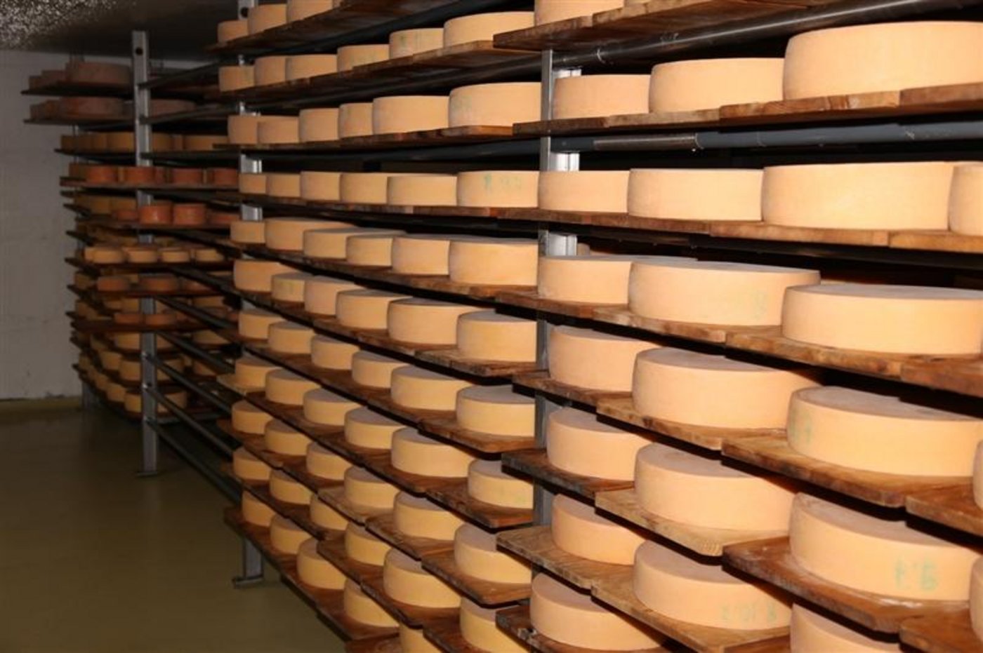 Ein Keller voller Alpkäse. (Bild BauZ)