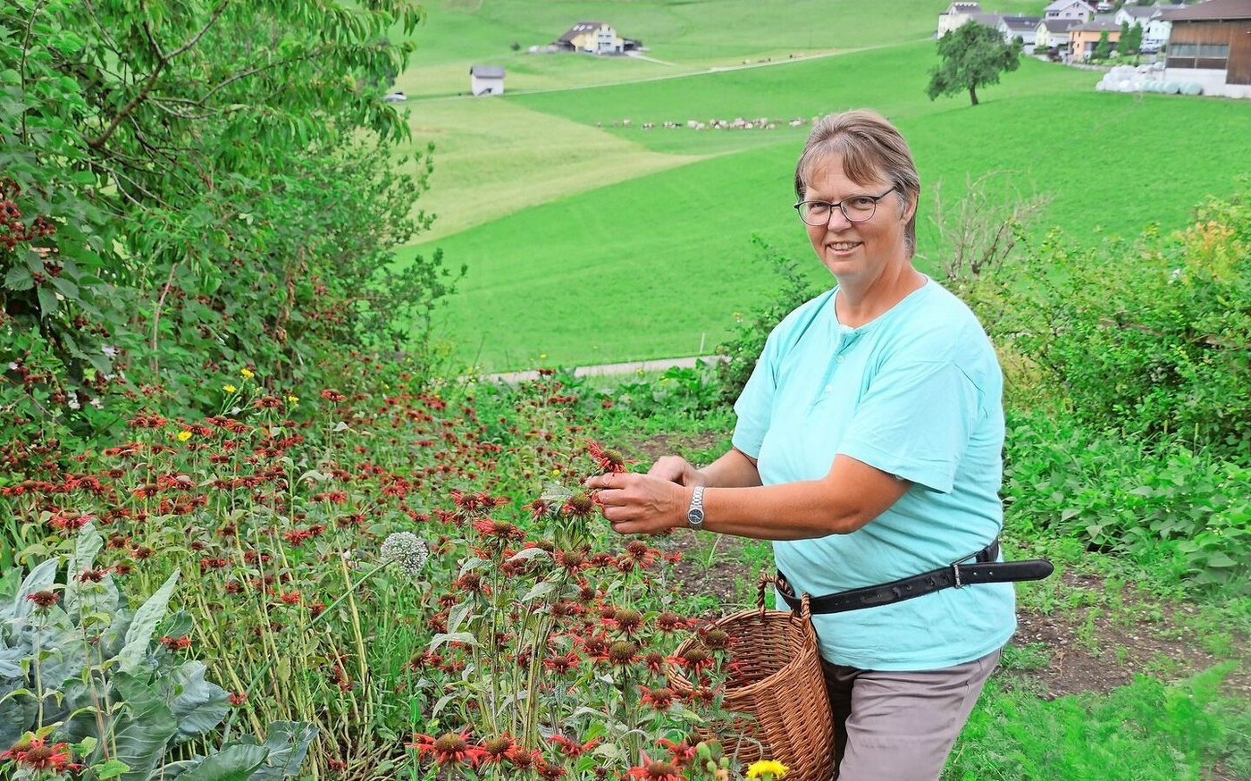 Silvia Bucher pflückt Goldmelisse, die sie später verarbeiten wird. Buchers Hof Burg liegt unweit des Dorfes Doppleschwand.