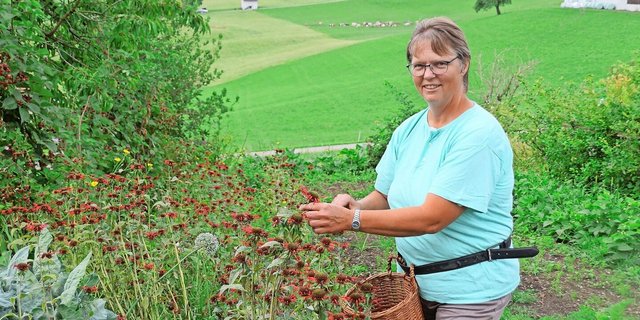 Silvia Bucher pflückt Goldmelisse, die sie später verarbeiten wird. Buchers Hof Burg liegt unweit des Dorfes Doppleschwand.