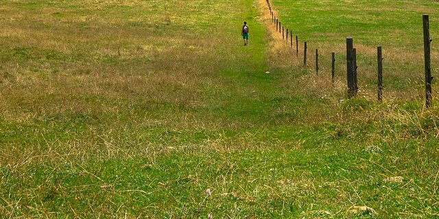 Ein stabiler, regelmässig kontrollierter Zaun hilft dabei, Wanderer ausserhalb und weidende Tiere innerhalb der Weide zu halten. (Bild Pixabay)