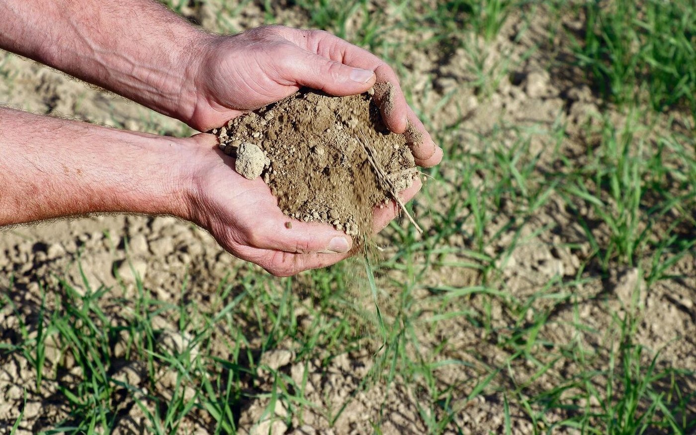 Boden speichert Kohlenstoff – und könnte damit ein wichtiger Faktor beim Klimaschutz werden.
