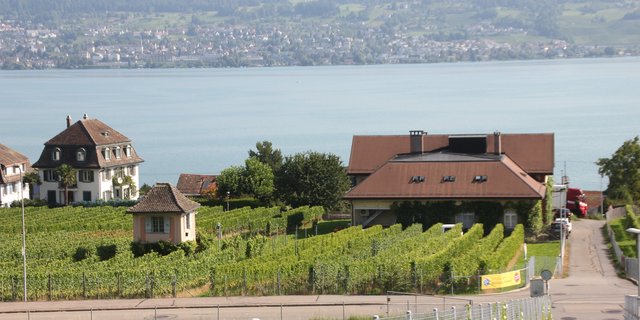 Agroscope, das FiBL sowie das WBZW bringen in Zusammenarbeit mit den kantonalen Fachstellen rund 18-mal während der Saison die «Winzerinfo» heraus, um Winzer mit den nötigen Informationen für den Rebbau zu versorgen. (Bild BauZ)