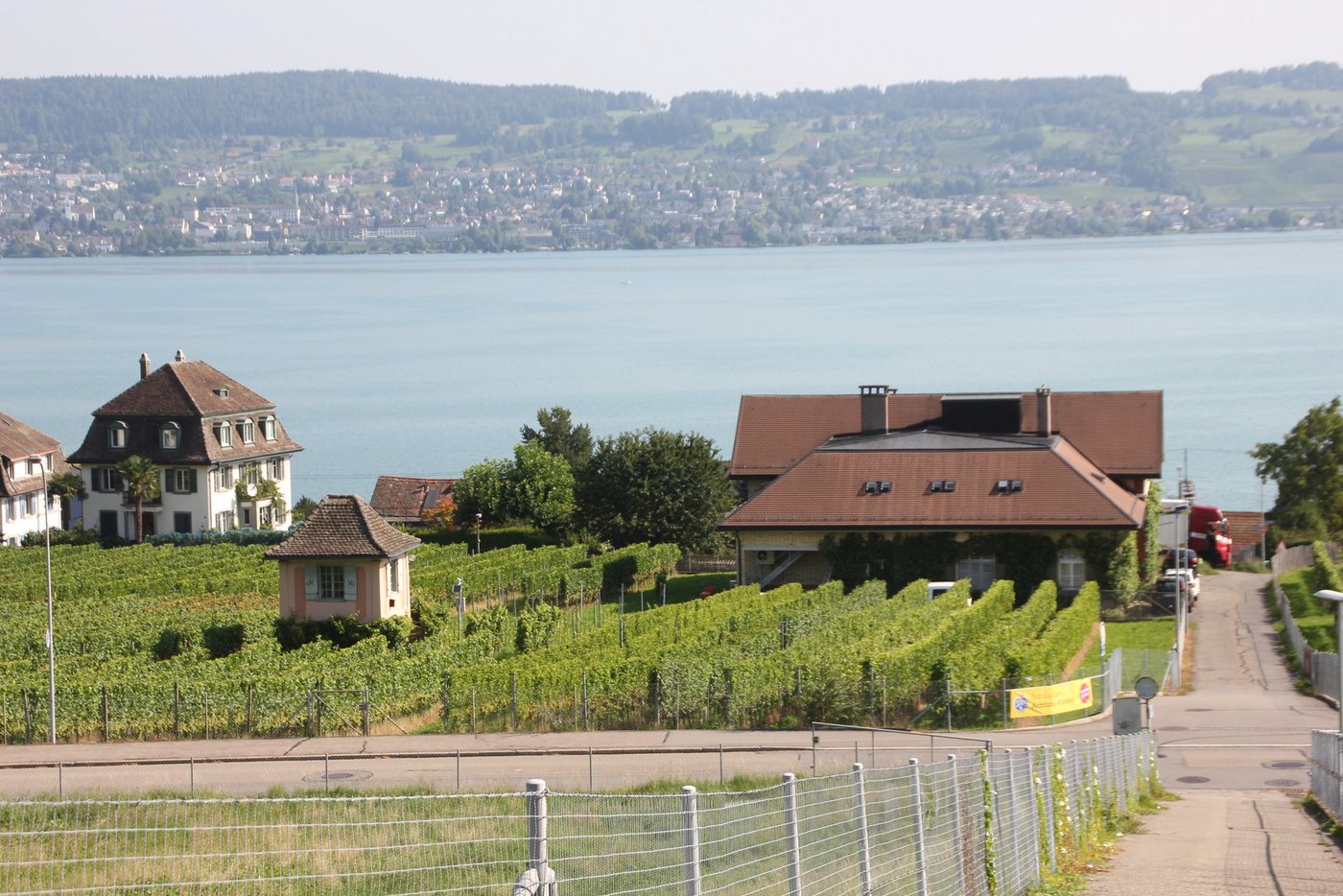 Agroscope, das FiBL sowie das WBZW bringen in Zusammenarbeit mit den kantonalen Fachstellen rund 18-mal während der Saison die «Winzerinfo» heraus, um Winzer mit den nötigen Informationen für den Rebbau zu versorgen. (Bild BauZ)