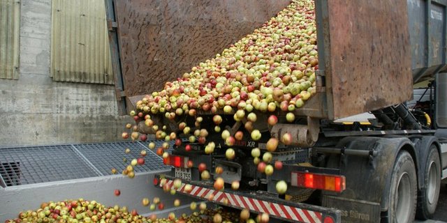 Derzeit wird wieder fleissig Mostobst angeliefert. (Bild ji)