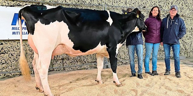 Höchstpreis für eine frisch gekalbte Zweitlaktierende von OK-Präsident Stefan Käser.