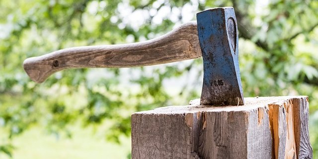 Zukünftig dürfte nur noch Holz in Verkehr gebracht und gehandelt werden, welches vorgängig legal geerntet und gehandelt wurde. (Bild pixabay)