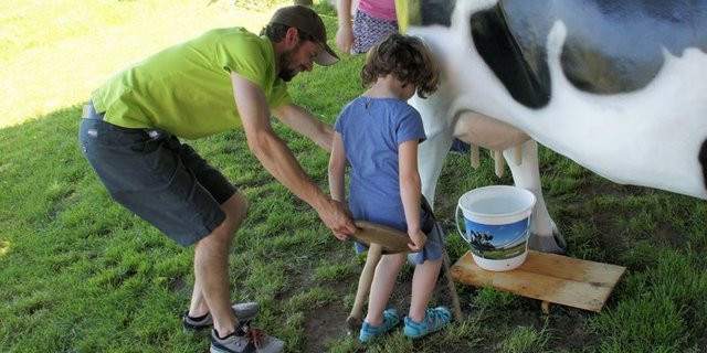 Die Situation zum Tag der offenen Hoftüren wird Mitte April neu beurteilt. Derzeit laufen die Vorbereitungen. (Bild lid)