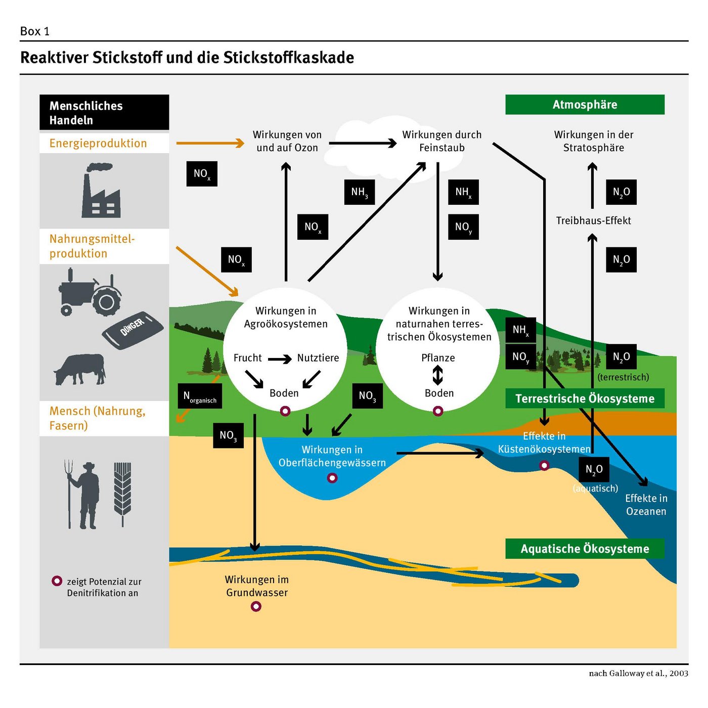 Stickstoff ist in mehreren Kreisläufen ein wichtiges Element. (Bild Umweltbundesamt Deutschland)