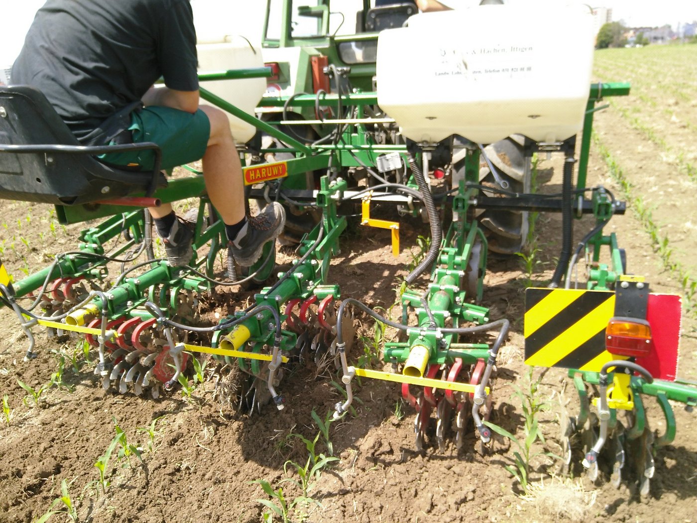 Damit der Mais dem Unkraut davon wachsen kann, sollte das Hacken ab dem 6- bis 8-Blatt-Stadium abgeschlossen sein. (Bild Markus Hofer)