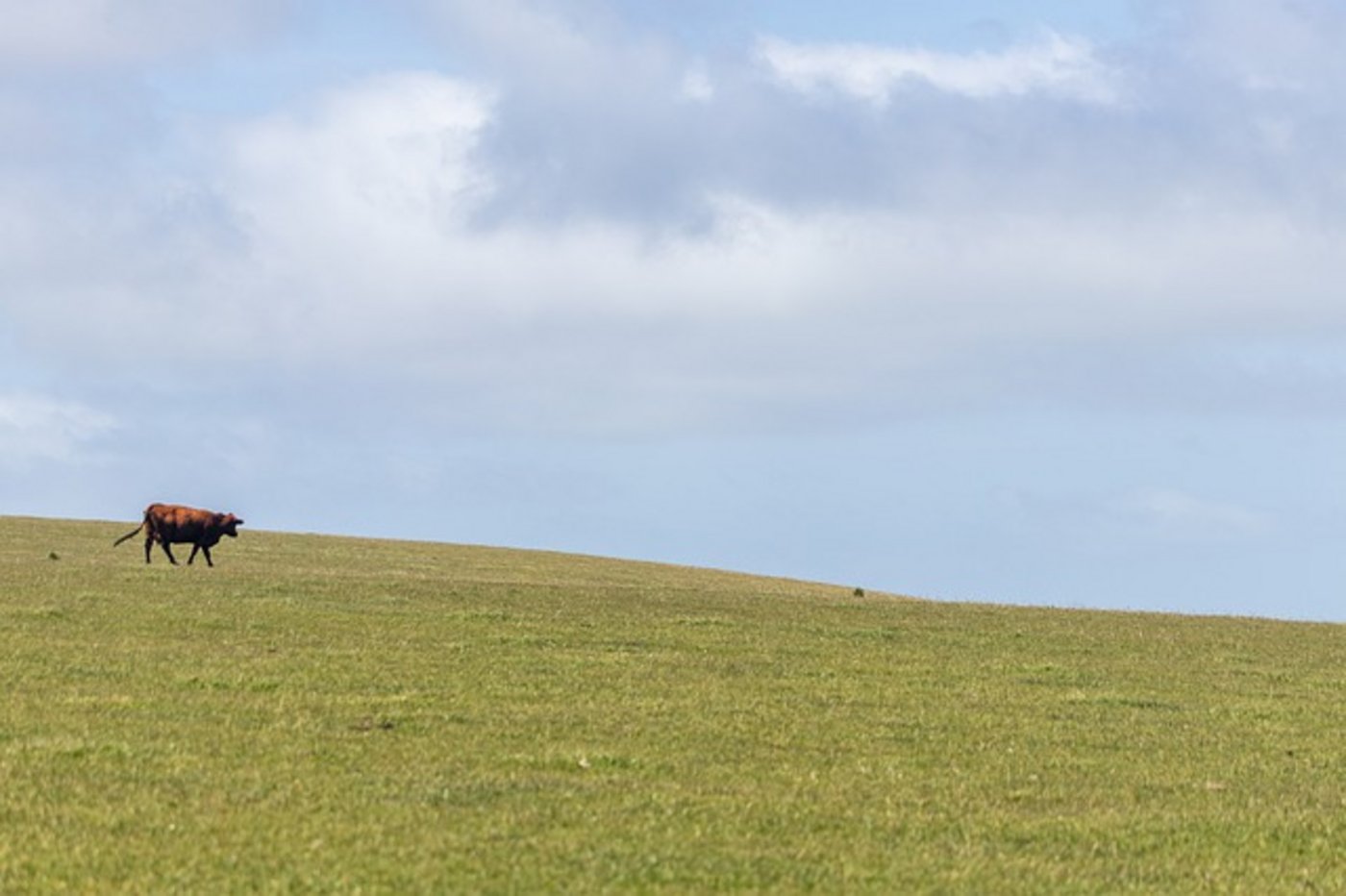 Augenzeugen wollen neun Schüsse gezählt haben, laut der Polizei waren es sieben. (Symbolbild Pixabay)