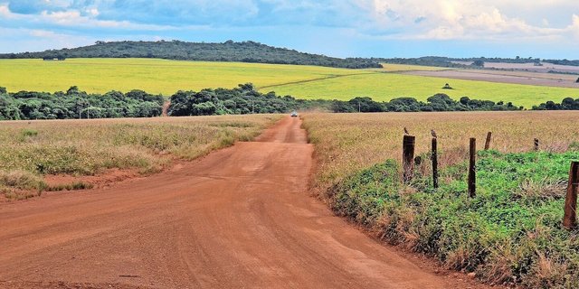 Die typische rote Erde Brasiliens ist nicht besonders fruchtbar und bei Regen schnell weggewaschen.