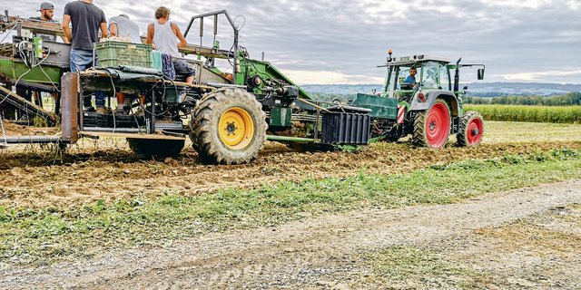 Der Umbau eines alten Überladeroders zu einem Süsskartoffelvollernter bedeutet für Familie Hagenbuch eine grosse Arbeitserleichterung. Auch die Qualität der Süsskartoffeln ist besser geworden. So braucht es für die Ernte nur noch zehn statt 30 Personen.(Bilder zVg)