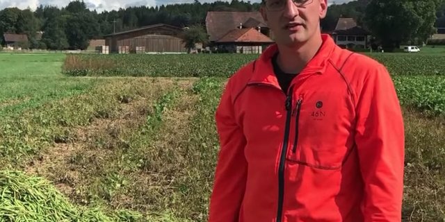 Bauer Mario Portner hat versucht weniger Pflanzenschutzmittel einzusetzen. (Bild Facebook Schweizer Bauern)