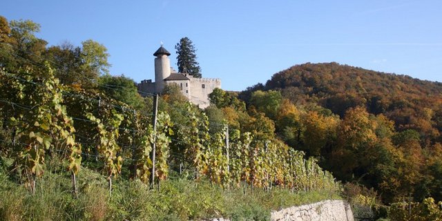 Einige Pestizide müssen häufiger angebracht werden, weil sie weniger regenfest sind - stabile Schönwetterfenster sind gefragt. (Bild lid/mr)