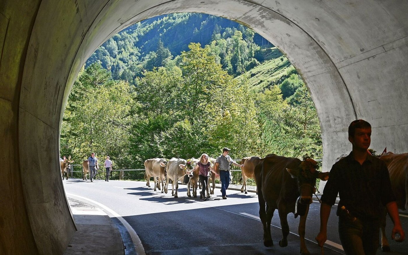 Im Tunnel läuteten die vielen Treicheln besonders eindrücklich und laut. Es tönte fast wie ein Donnergrollen. 