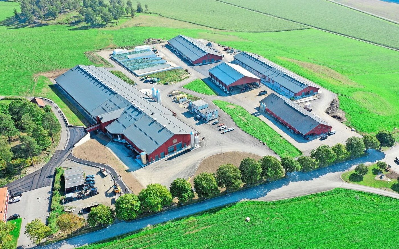 Die Erweiterung am Standort Hamra umfasst den VMS-Stall (links) sowie weitere Gebäude für Jungtiere, Trockensteller und Kälber. 