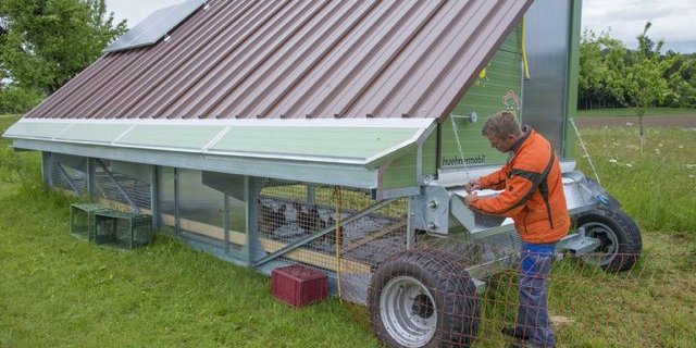 Kuno Werro kann das Hühnermobil schnell von einer Weide zur anderen verschieben. (Bilder David Eppenberger)