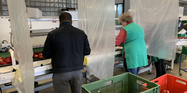 Abpacken von Äpfeln in der Obsthalle Sursee, bei strengen Hygiene- und Distanzvorschriften. (Bilder js)