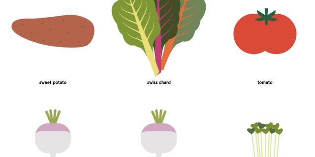 Über ganz Europa gesehen sind im März 41 Frucht-und 110 Gemüsesorten verfügbar. Je nach Land bzw. Klimazone ist das Angebot aber deutlich kleiner. (Bild Screenshot EUFIC) 