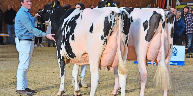 Schöneuter Top Gun Delta-Lambda Excalibur (r.), Beat Krebs, Reserve C-W-S Pinnacle Bonnie, Cyrill Schenk, Kaltacker. 