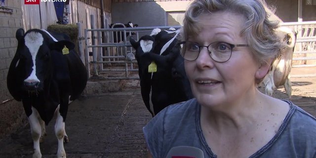 Die Präsidentin des Bäuerinnen- und Landfrauenverbands, Christine Bühler hat sich nicht gescheut, auch im Fernsehen gegen die Hornkuh-Initiative anzutreten. (Bild Screenshot SRF)