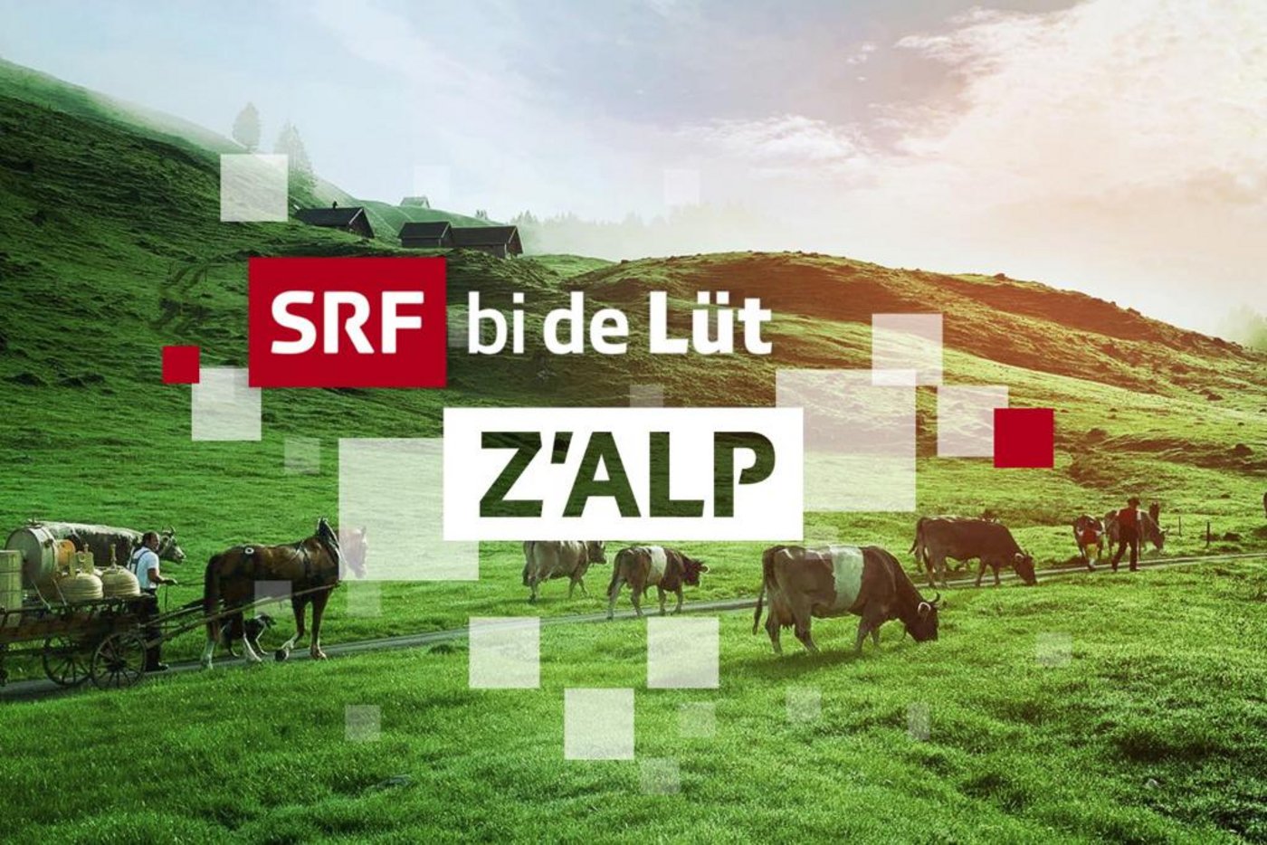 «SRF bi de Lüt» begleitet die Älplerinnen und Älpler in die Bergwelt. (Bild SRF)