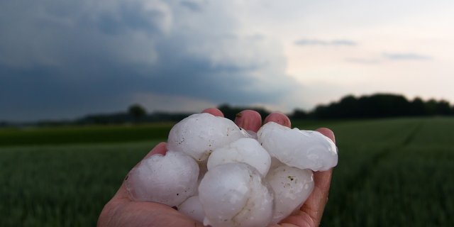 Die Unwetter und damit deren Folgen vielen sehr unterschiedlich aus. Gebietsweise gab es sehr grosse Hagelkörner. (Symbolbild DerTobiSturmjagd / Pixabay) 