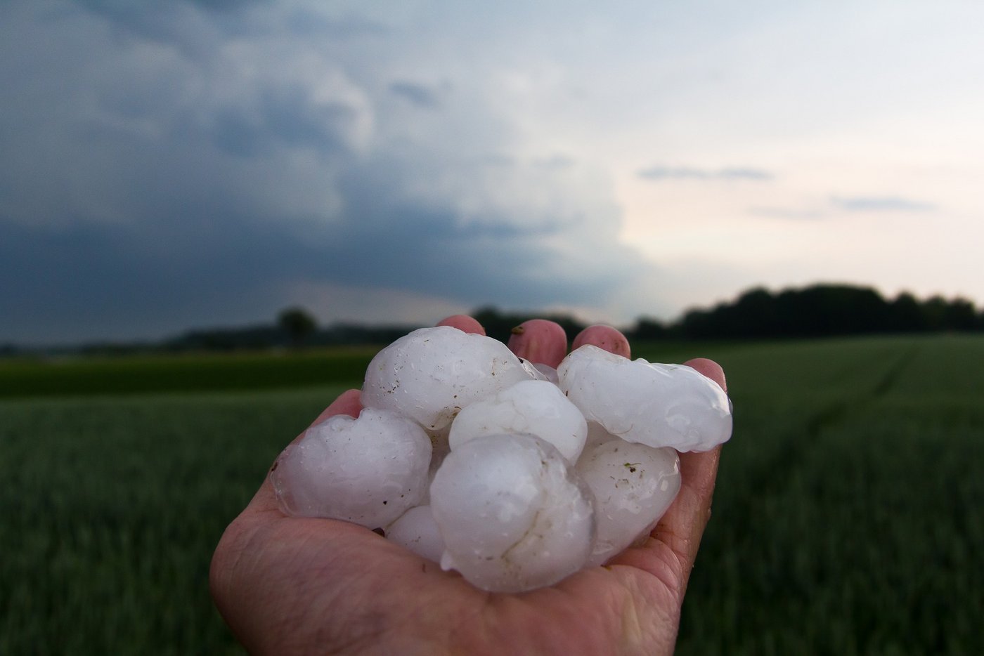 Die Unwetter und damit deren Folgen vielen sehr unterschiedlich aus. Gebietsweise gab es sehr grosse Hagelkörner. (Symbolbild DerTobiSturmjagd / Pixabay) 