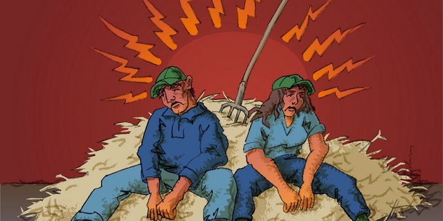 Bislang waren Landwirtinnen und Landwirte eine unterbeforschte Berufsgruppe bezüglich Burnout. (Bild Agroscope)