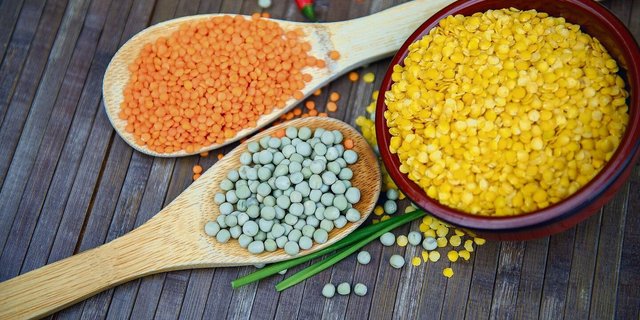 Bunte Vielfalt: Erbsen, Lupinen, Ackerbohnen, Saubohnen, Gartenbohnen, rote, schwarze, grüne und gelbe Linsen, Kichererbsen, Sojabohnen. Es gibt viele Sorten und Variationen. 