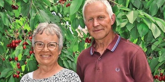 Helene und Toni Weingartner-Ottiger freuen sich über den schönen Behang in ihrer Bio-Kirschen-Anlage. Bald startet die Ernte.