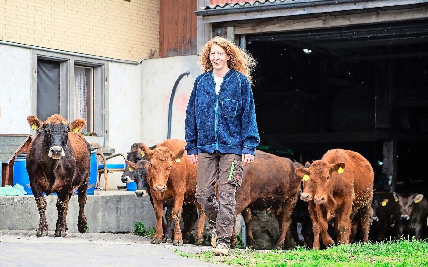 Auf dem Biobetrieb von Lisabeth Braus-Brunner leben unter Anderem 20 Mutterkühe und ein Stier. Ein Teil des Fleisches verkauft sie per Direktvermarktung.