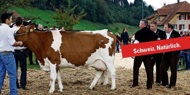 Die Viehschauen sollen den Werbebalken der Absatzförderung tragen. Ab kommendem Jahr sollen sie unter dem Absatzförderungsprojekt der ASR laufen. (Bild: sb / Montage: rd)