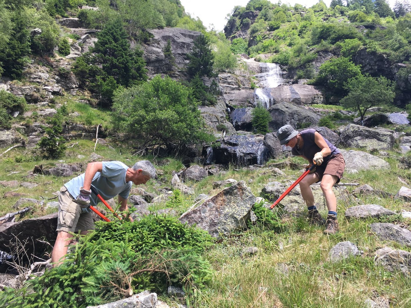 Der Natur und sich selbst etwas Gutes tun und dabei noch etwas lernen: das geht bei "Ferien zugunsten der Natur". (Bild zVg)