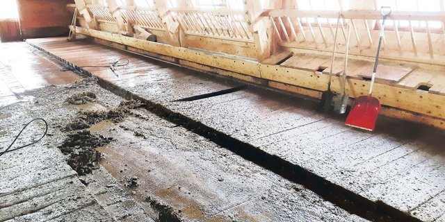 Selina Eberhard ist mit Kärcher und Schaufel im Einsatz, damit alles schön sauber wird.