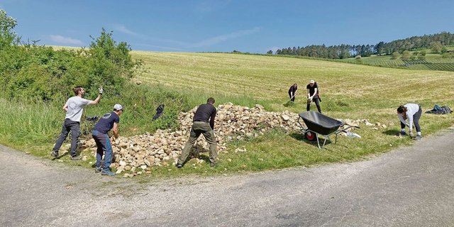 Freiwillige im Natureinsatz im Jurapark: Bau einer Steinlinse für Reptilien auf dem Eichhof in Bözen.