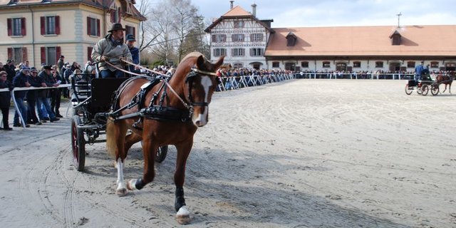 Der Verband geht von rund 3000 Besucherinnen und Besuchern aus. (Bild jsc)