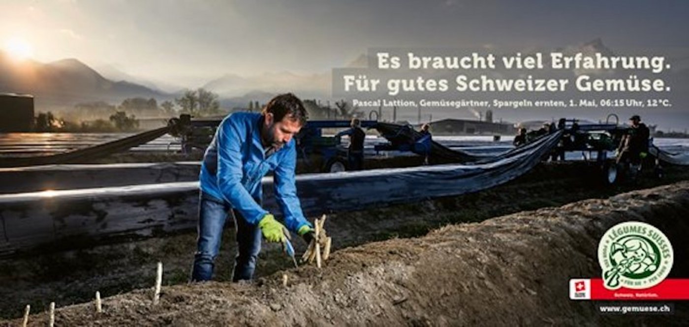Sie Plakate sollen die Arbeiten von Gemüsebauern ihren Mitarbeitenden im Jahresverlauf zeigen. (Bild VSGP)