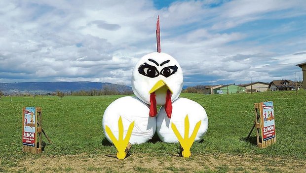 In der Westschweiz stehen bereits erste Landschaftssujets gegen die beiden Initiativen. In der Deutschschweiz sind die Feldrand-Regeln im Allgemeinen strenger. Hier darf je nach Kanton erst 6 bis 8 Wochen vor Abstimmungstermin gebaut werden. (Bild zVg)