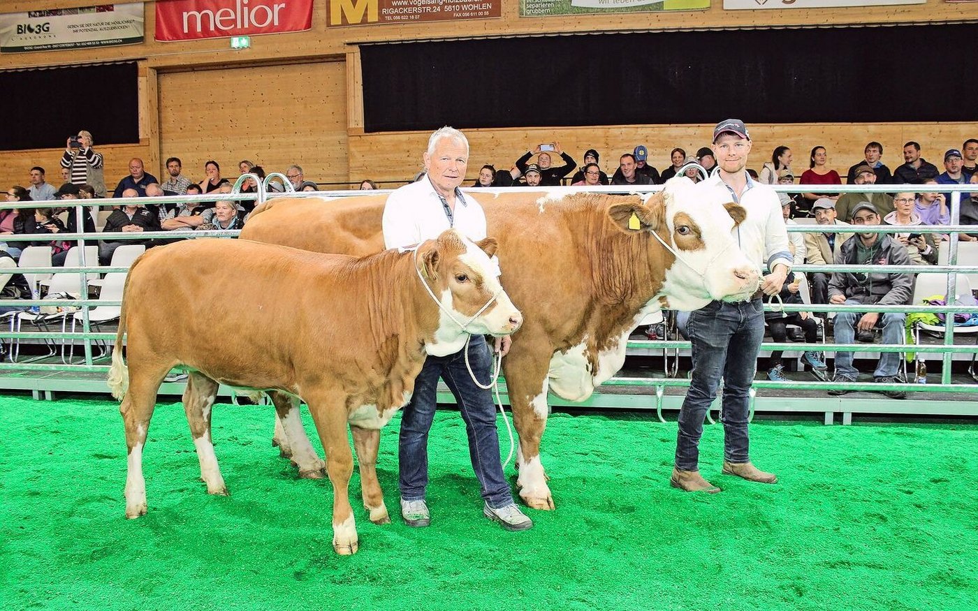 Bei den Simmental wurde Berger’s Luana Champion. Sie gehört Simon Büttiker aus Gunzgen SO.