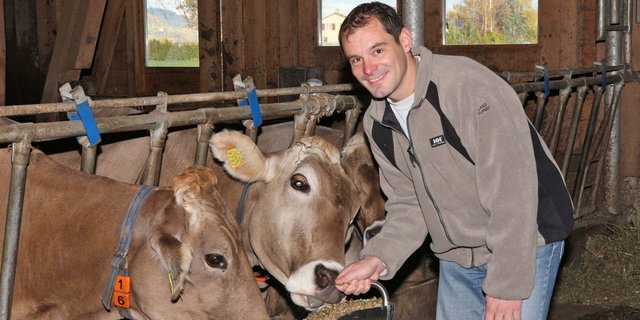 Patrick Eglis Maiswürfel sind bei den Kühen begehrt. (Bilder lid/zVg)