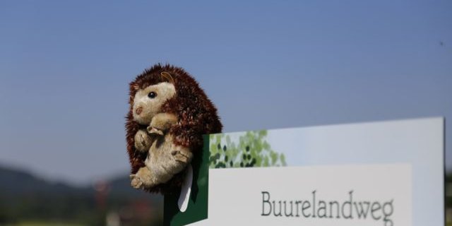 Maskottchen Igor begleitet die Kinder über den Buurelandweg. (Bild ji)
