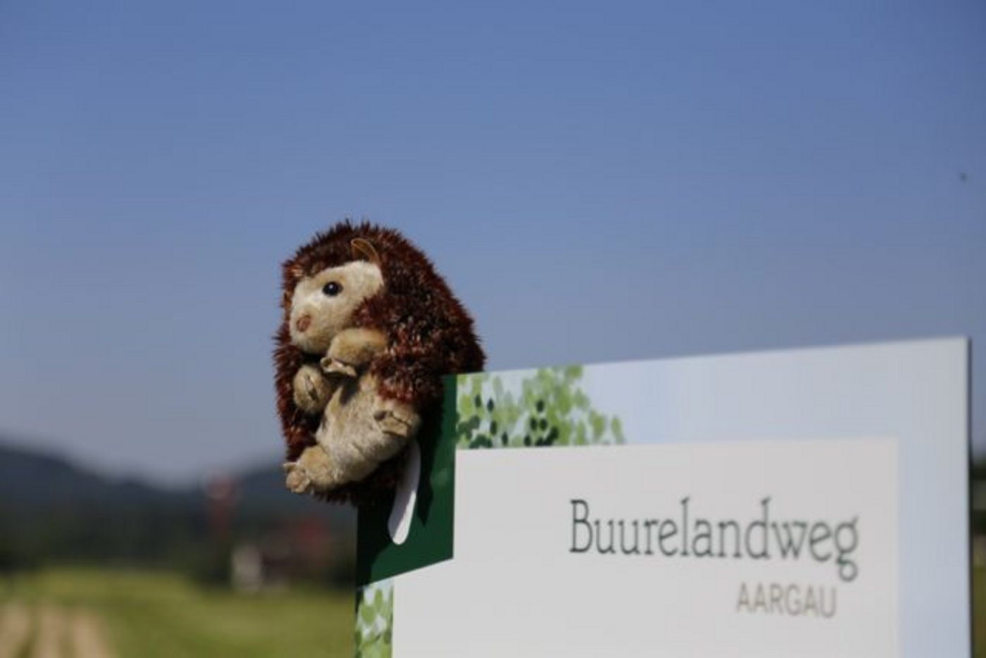 Maskottchen Igor begleitet die Kinder über den Buurelandweg. (Bild ji)