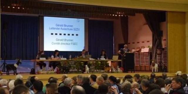 Rund 200 Delegierte nahmen an der Versammlung in Plaffeien teil. (Bild joy)